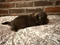 processed/ed991489-3ed3-41df-833d-98b66e951fcb/listing/d8588d46-da98-4705-a335-0d932badcc12/1438c3e9-8791-49a0-8c07-babea9826741