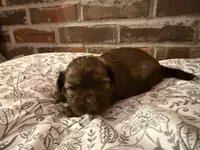 processed/ed991489-3ed3-41df-833d-98b66e951fcb/listing/d8588d46-da98-4705-a335-0d932badcc12/9ae808ef-ea8f-4fd6-85c2-e2a4d63ec4f9