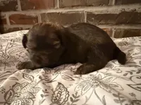 processed/ed991489-3ed3-41df-833d-98b66e951fcb/listing/d8588d46-da98-4705-a335-0d932badcc12/b9d3c56e-2052-42d8-a1a5-aa8f053455e5