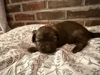 processed/ed991489-3ed3-41df-833d-98b66e951fcb/listing/d8588d46-da98-4705-a335-0d932badcc12/c49c6fd4-5255-42ff-a879-53ac08213088