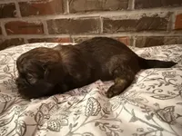 processed/ed991489-3ed3-41df-833d-98b66e951fcb/listing/d8588d46-da98-4705-a335-0d932badcc12/c590d785-0d2f-44b6-924a-dcbfec6419d6