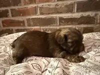 processed/ed991489-3ed3-41df-833d-98b66e951fcb/listing/d8588d46-da98-4705-a335-0d932badcc12/ca0ded3d-5c15-481a-93bc-67de7df237be