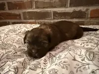 processed/ed991489-3ed3-41df-833d-98b66e951fcb/listing/d8588d46-da98-4705-a335-0d932badcc12/d59754f6-1188-4b47-829f-d55f1dc2562d