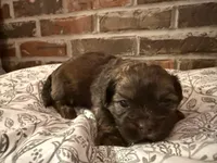 processed/ed991489-3ed3-41df-833d-98b66e951fcb/listing/d8588d46-da98-4705-a335-0d932badcc12/f728ea66-ac3e-4efe-a66f-e73c560a0021