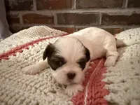 processed/ed991489-3ed3-41df-833d-98b66e951fcb/listing/fa0b736e-6736-4e04-8833-78b265298d73/2723c4ea-da63-43f6-8fd8-c48b54df114b