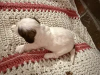 processed/ed991489-3ed3-41df-833d-98b66e951fcb/listing/fa0b736e-6736-4e04-8833-78b265298d73/49650831-c265-4549-8364-f2b08a4389d7