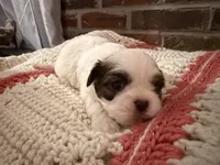 processed/ed991489-3ed3-41df-833d-98b66e951fcb/listing/fa0b736e-6736-4e04-8833-78b265298d73/4e9bde5d-0f33-4437-8447-5e61091f8198