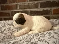 processed/ed991489-3ed3-41df-833d-98b66e951fcb/listing/fa0b736e-6736-4e04-8833-78b265298d73/7851f695-308f-4739-a420-00446982272c