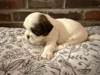 processed/ed991489-3ed3-41df-833d-98b66e951fcb/listing/fa0b736e-6736-4e04-8833-78b265298d73/b7b0dc53-812b-4a50-817d-f0d339668e00