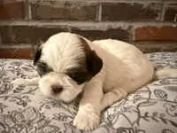 processed/ed991489-3ed3-41df-833d-98b66e951fcb/listing/fa0b736e-6736-4e04-8833-78b265298d73/ce09eda9-eff8-4526-bfa8-096bf69c2dd5