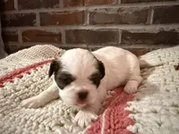 processed/ed991489-3ed3-41df-833d-98b66e951fcb/listing/fa0b736e-6736-4e04-8833-78b265298d73/eb57a753-5112-4e67-8d4e-1db8c0bb962f