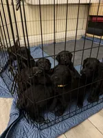 Facility photo
