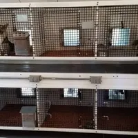 processed/eda90958-c8e7-4572-b301-16cf08e98176/facility/7cafc5be-534c-4be2-a9f2-f521b3b7eefd