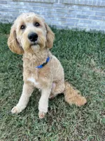 processed/edaed3a4-4662-4c05-b8cf-597c54fd6b9d/listing/0e38bece-48e1-4ddd-bfe6-ecfdad515e40/0720e4f1-7bd4-4e00-888e-2a9a144b91c6