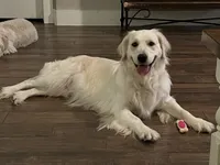 processed/edaed3a4-4662-4c05-b8cf-597c54fd6b9d/listing/0e38bece-48e1-4ddd-bfe6-ecfdad515e40/3338049b-0e48-4093-9ada-d4c439be7f23