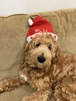 processed/edaed3a4-4662-4c05-b8cf-597c54fd6b9d/listing/0e38bece-48e1-4ddd-bfe6-ecfdad515e40/c96f6ebe-3ff1-4bc9-a390-58b81222af24