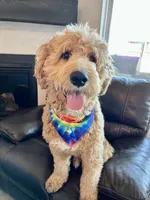 processed/edaed3a4-4662-4c05-b8cf-597c54fd6b9d/listing/0e38bece-48e1-4ddd-bfe6-ecfdad515e40/cf690393-b555-4c8d-9593-af86d1d0ba92