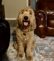 processed/edaed3a4-4662-4c05-b8cf-597c54fd6b9d/listing/0e38bece-48e1-4ddd-bfe6-ecfdad515e40/d3c18dac-4778-49ad-bc4b-01daaa2d18de