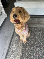 processed/edaed3a4-4662-4c05-b8cf-597c54fd6b9d/listing/0e38bece-48e1-4ddd-bfe6-ecfdad515e40/dae979ab-0e9b-4d62-8af7-8d737bb55ce9