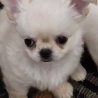 processed/edc81404-c5c7-434c-b212-45d8c0929733/facility/474f94d6-b2fb-4286-b6d8-4602d419a472