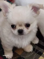 processed/edc81404-c5c7-434c-b212-45d8c0929733/facility/474f94d6-b2fb-4286-b6d8-4602d419a472