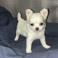 processed/edc81404-c5c7-434c-b212-45d8c0929733/facility/5b9d12a2-3a54-4223-95c6-3664eb07f933