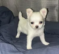 processed/edc81404-c5c7-434c-b212-45d8c0929733/facility/5b9d12a2-3a54-4223-95c6-3664eb07f933