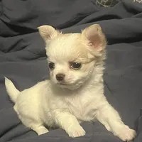 processed/edc81404-c5c7-434c-b212-45d8c0929733/facility/84d1bb05-871f-47ed-97bd-a59cf59f6866