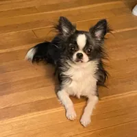 processed/edc81404-c5c7-434c-b212-45d8c0929733/facility/8ab521af-e2b9-4c86-9776-c479710f12e2