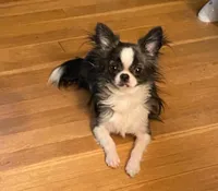 processed/edc81404-c5c7-434c-b212-45d8c0929733/facility/8ab521af-e2b9-4c86-9776-c479710f12e2