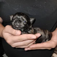 processed/edc81404-c5c7-434c-b212-45d8c0929733/facility/a0e4d582-c6c4-48da-a86a-8c632e40664a