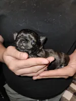 processed/edc81404-c5c7-434c-b212-45d8c0929733/facility/a0e4d582-c6c4-48da-a86a-8c632e40664a