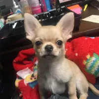 processed/edc81404-c5c7-434c-b212-45d8c0929733/facility/a6d630a9-1e86-4bea-bb48-09b9258a15dc