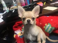 processed/edc81404-c5c7-434c-b212-45d8c0929733/facility/a6d630a9-1e86-4bea-bb48-09b9258a15dc