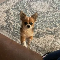 processed/edc81404-c5c7-434c-b212-45d8c0929733/facility/ca92c782-2a26-48ad-a0d8-3671f64bcfae