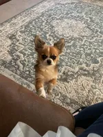 processed/edc81404-c5c7-434c-b212-45d8c0929733/facility/ca92c782-2a26-48ad-a0d8-3671f64bcfae