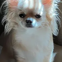 processed/edc81404-c5c7-434c-b212-45d8c0929733/facility/ce934596-c25f-493d-9a3d-59c38c1920e5