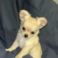 processed/edc81404-c5c7-434c-b212-45d8c0929733/facility/e5488c07-cfed-4d49-9c85-288569135abc