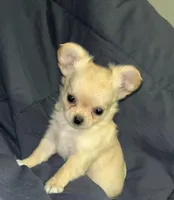 processed/edc81404-c5c7-434c-b212-45d8c0929733/facility/e5488c07-cfed-4d49-9c85-288569135abc