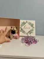 Tcup Ellie, a male Pomeranian for sale in Atlanta, GA – Photo 7 of 7