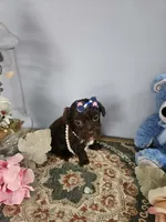 processed/edd065c6-0110-4691-85cf-350158a15396/listing/ada00cbf-d11a-4461-87ae-71400af7eb90/13c1cebc-6694-44d2-8269-799995f5aff1