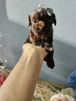 processed/edd065c6-0110-4691-85cf-350158a15396/listing/ada00cbf-d11a-4461-87ae-71400af7eb90/633ab555-9ea2-4f1e-a1ef-1d6100c18973