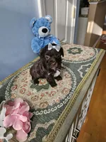 processed/edd065c6-0110-4691-85cf-350158a15396/listing/ada00cbf-d11a-4461-87ae-71400af7eb90/96419d4a-17ed-4610-87bd-7a56bef28e01