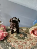 processed/edd065c6-0110-4691-85cf-350158a15396/listing/ada00cbf-d11a-4461-87ae-71400af7eb90/9f8e1b29-816b-4ba1-bf2c-491b762b4394