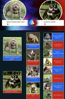 Sid , a male American Bully for sale in Airville, PA – 6 of 8