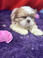 processed/edd46b37-226d-41bd-ab98-b7a43602cd81/listing/3466e9cf-e1f5-4415-b0c8-b306f26b5388/4aa41677-79ca-4b28-b5a7-7f3eaef0be3d