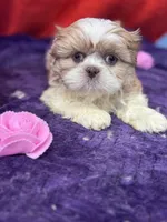 processed/edd46b37-226d-41bd-ab98-b7a43602cd81/listing/3466e9cf-e1f5-4415-b0c8-b306f26b5388/5fbe2b75-6e99-49ae-ad0c-fa0c6bd55456