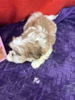 processed/edd46b37-226d-41bd-ab98-b7a43602cd81/listing/3466e9cf-e1f5-4415-b0c8-b306f26b5388/788c2708-d14e-4fb1-805f-b2b8a809e4c0