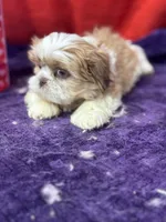 processed/edd46b37-226d-41bd-ab98-b7a43602cd81/listing/3466e9cf-e1f5-4415-b0c8-b306f26b5388/aa8af59c-3ab5-4903-8168-99c6bc693c64