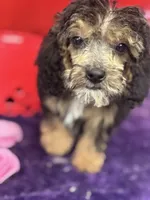 processed/edd46b37-226d-41bd-ab98-b7a43602cd81/listing/40cc9ee7-7201-4e5e-bd32-301c98e96c01/219add33-0b1e-4155-a5c9-76ebae139a4e